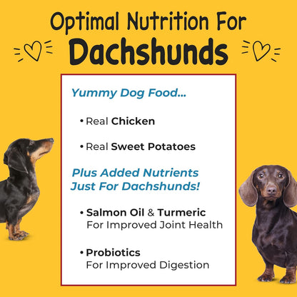 Adult Natural Dry Dog Food for All Breeds and Sizes, with Real Chicken and Sweet Potato Flavor