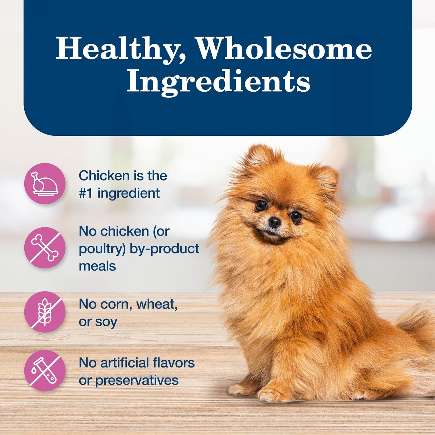 Homestyle Recipe Adult Small Breed Wet Dog Food, Made with Natural Ingredients, Chicken Recipe, 5.5-Oz Cans (24 Count)