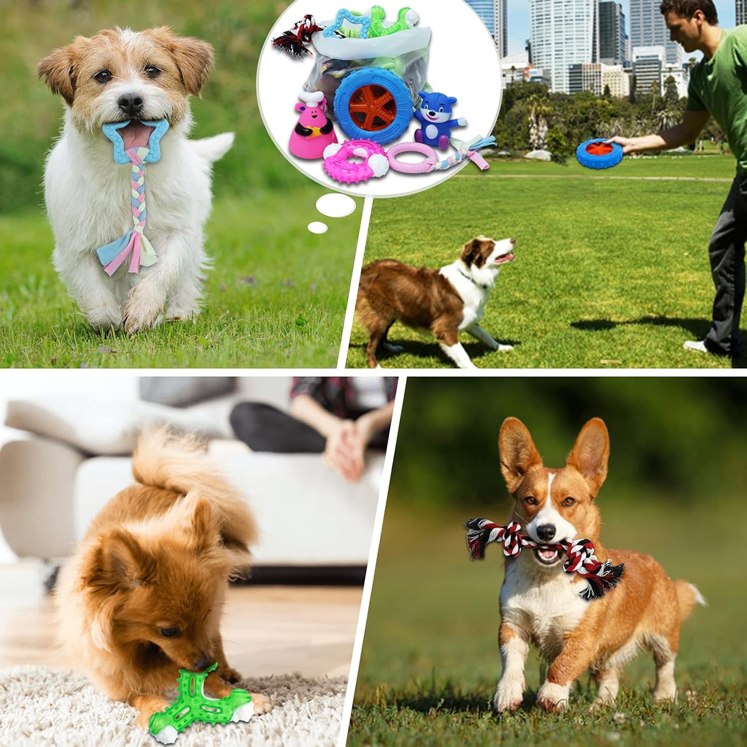 14 Pack Puppy Toys Small Dog Toys for Puppies Small Medium Dogs, Puppy Teething Chew Toys for Tooth Brush, Dog Puppy Chew Toys for Teething, Various Dog Teething Toys Pack with Ropes