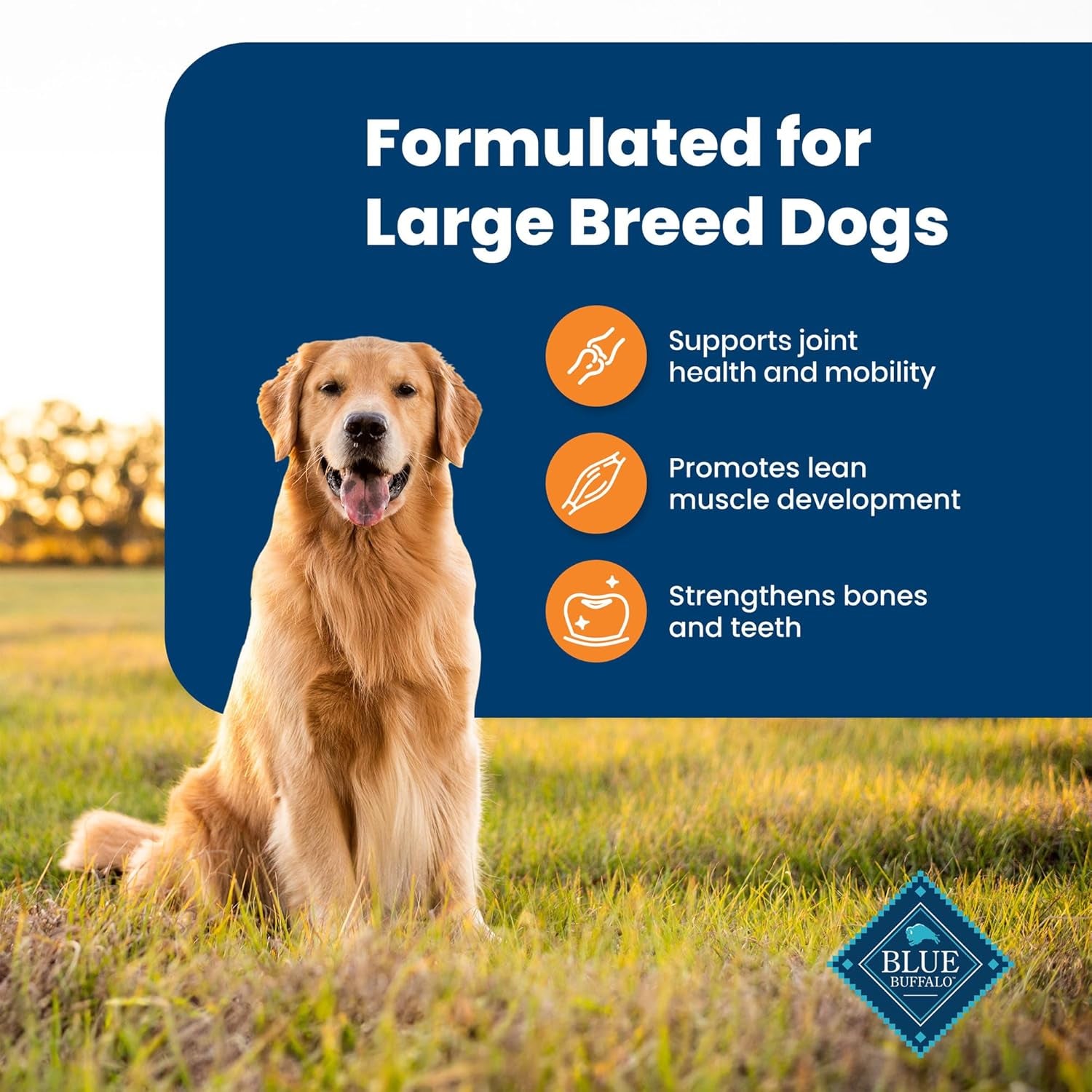 Life Protection Formula Large Breed Adult Dry Dog Food, Promotes Joint Health and Lean Muscles, Made with Natural Ingredients, Chicken & Brown Rice Recipe, 30-Lb. Bag