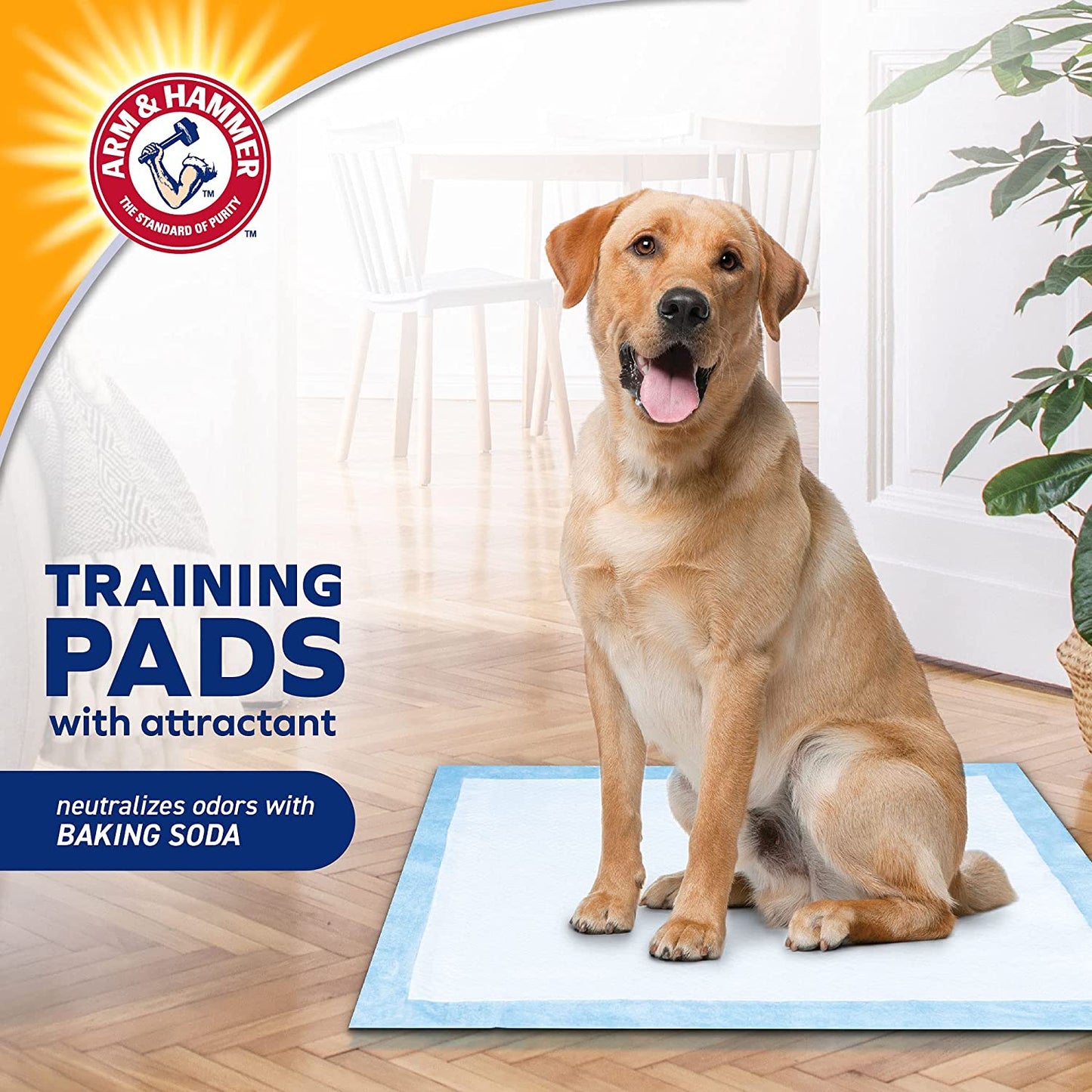 for Dogs Training Pads for Stay-At-Home Dogs | New & Improved Super Absorbent, Leak-Proof, Odor Control Quilted Dog Training Pads with Baking Soda | 200 Count Wee Wee Pads Bulk,White